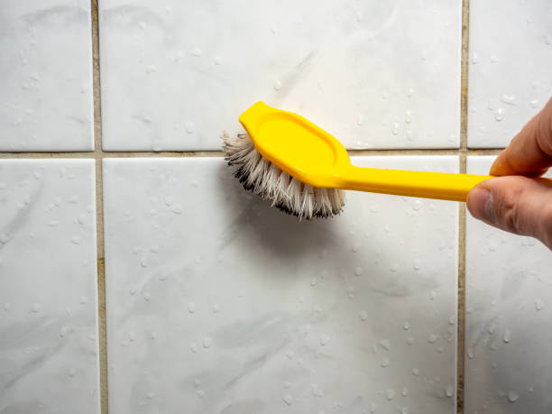 Best Same-Day Mold Removal  in Pughtown, PA
