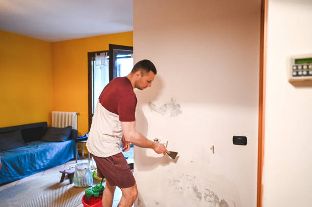 Professional Mold Removal in Pughtown, PA